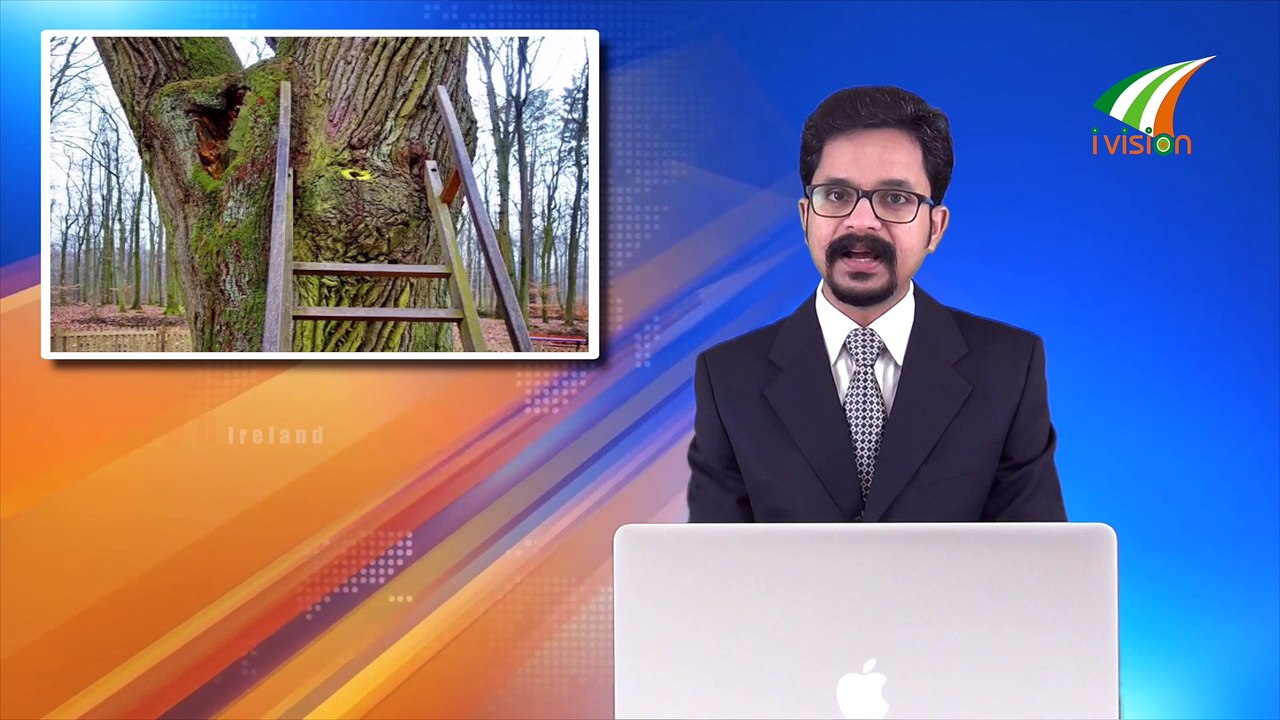 പ്രണയിക്കുന്നവർ തമ്മിൽ ഒന്നിക്കണമെങ്കിൽ മരത്തിന് കത്തെഴുതിയാൽ മതി Global Malayalam News 28 Ivision Ireland