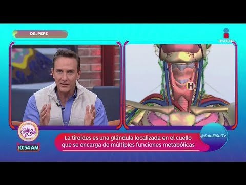 ¿Qué es la tiroides y por qué es tan importante? | Sale el Sol