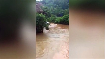 Ce camion ne s’arrête devant rien
