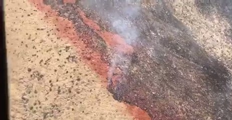 Arizona Firefighters Battle 600 Acre Fife Fire From Air