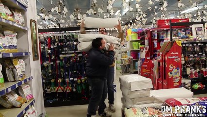 880lb of Food For Homeless Dogs