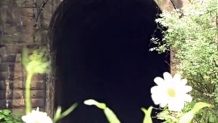 Ghost of the Trans Allegheny