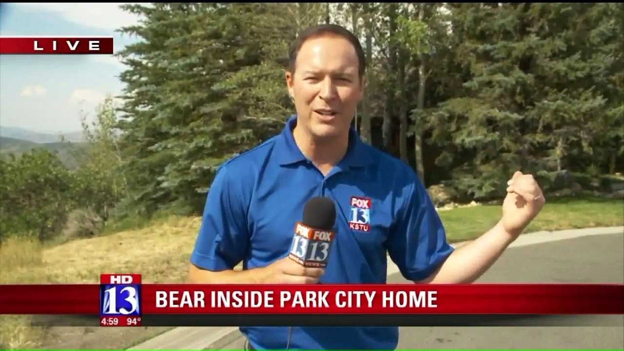 Utah Man Finds Bear in His House With Paw in Cookie Jar, Chases it Out