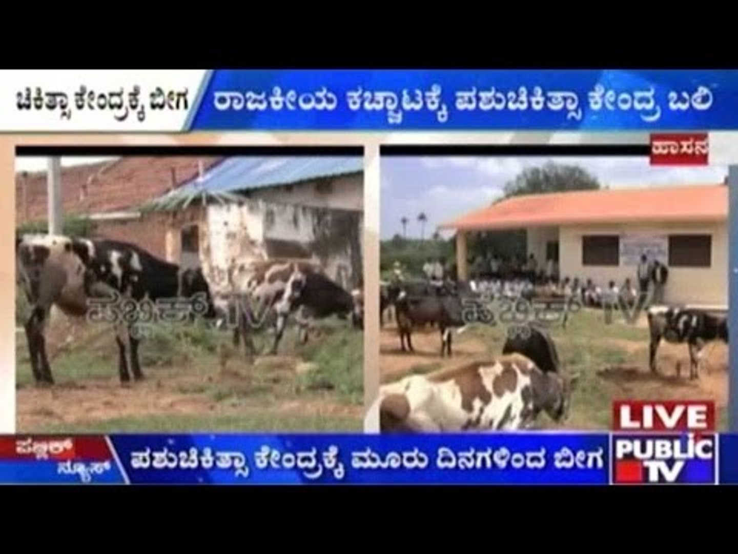 ⁣Protests After Veterinary Clinic Was Shut Down