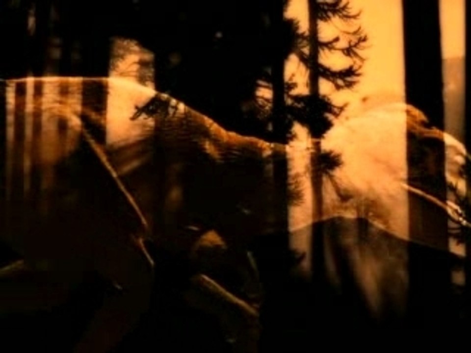 Caminando entre Dinosaurios [1999] INTRO