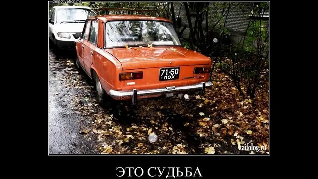 Маразмы и идиотизмы русского народа в прикольных демотиваторах