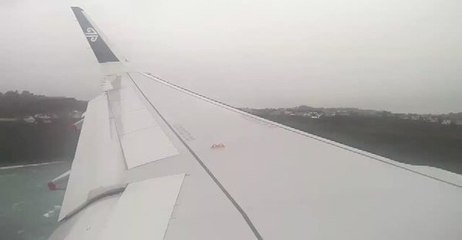 'Wild Ride' for Passengers Into Wellington Airport During Storm