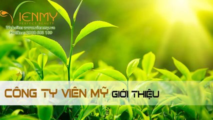 Muối epsom trà xanh tẩy tế bào chết - Viên Mỹ