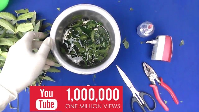 Mosquito Repellent Homemade