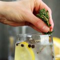 Spanish Gin & Tonic Cocktail Recipe - Liquor.com