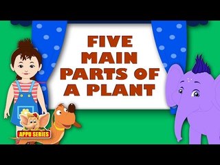 Discover the 5 Key Parts of Plants in Stunning 4K 🌿