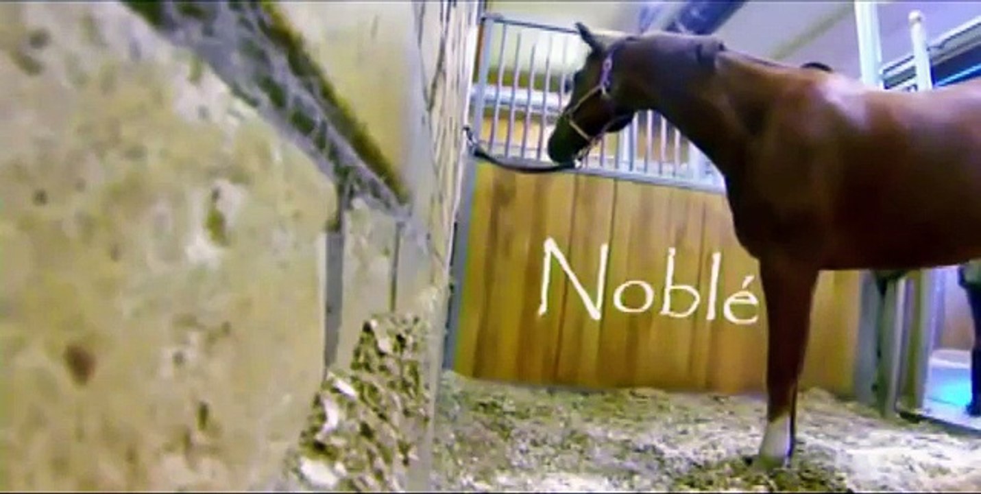 Ahıra Gizli Kamera Koyan Adam Gördükleri Karşısında Şok Oldu