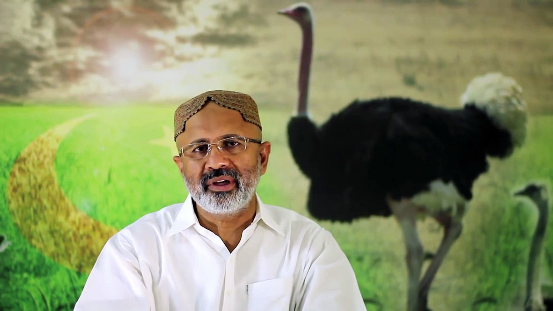 Ostrich Farming Breading or LiveStock (ep2) Raja Tahir Latif