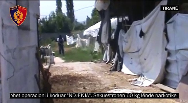 Aksioni antidroge ne Tirane, kapen arme e kanabis