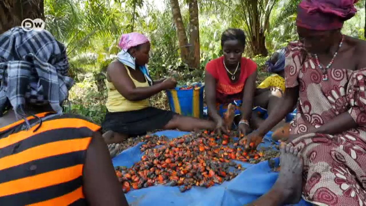 Palmöl - billig oder fair? | DW Deutsch