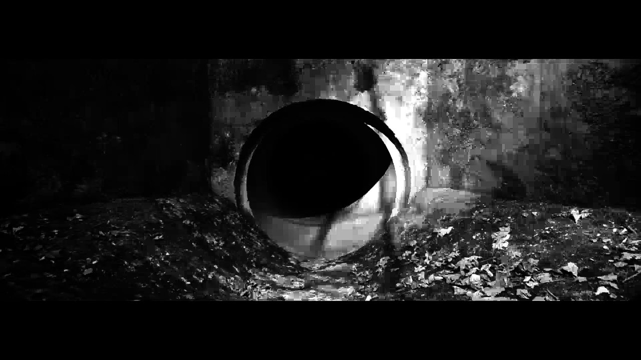 The Haisenbörks feat Yawin - Genie und Wahnsinn (ZDB2)