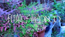 和菓子屋DISCO 2017/06/18
