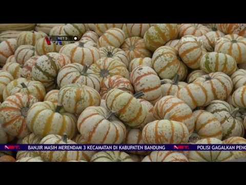 Tak Hanya Karena Hallowen, Labu Juga Menjadi Produk Utama Panen Musim Gugur di Amerika - NET5