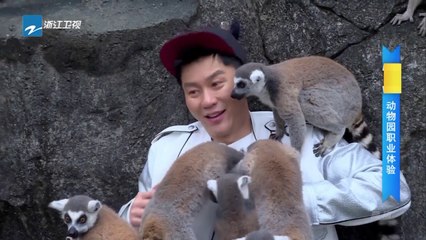 【未播】李晨变身美猴王 硬汉晨哥变呆萌“老李头”《奔跑吧》Keep Running EP.2 20170421 [ 浙江卫视官方HD ]