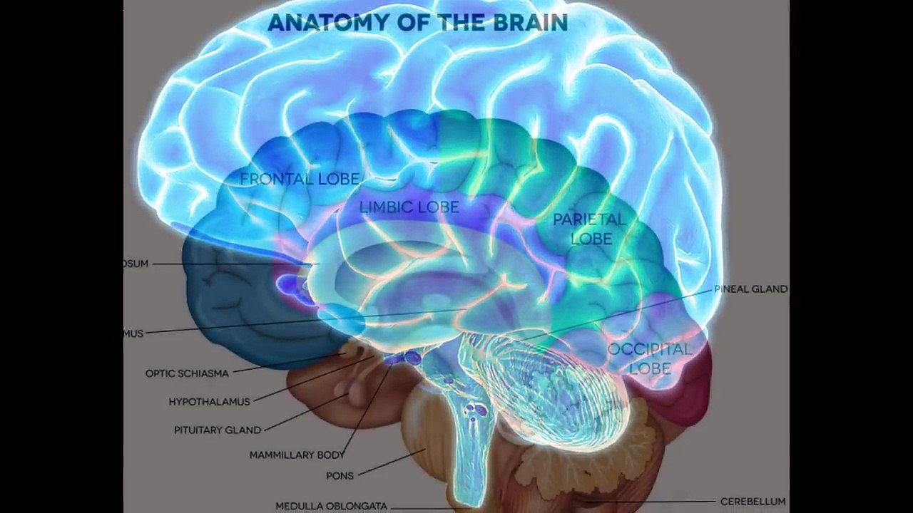 Neuro Boost IQ