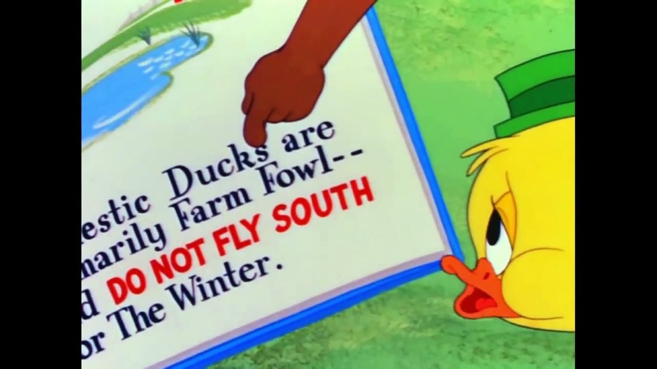 Tom And Jerry English Episodes - Southbound Duckling