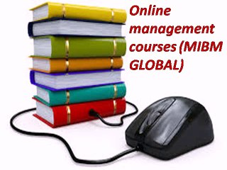 Executive MBA programme in India in Delhi