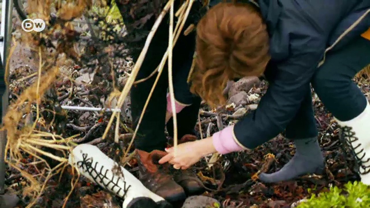 Natürliche Schönheit als Foto-Kunstprojekt | DW Deutsch