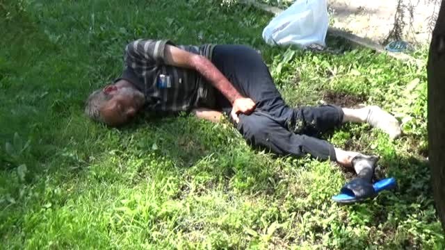 Parkta Köpekler Isırdı Dedi, İlk Müdahaleyi Yoldan Geçen Hemşire Yaptı