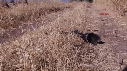 Kilis Askeri Konteynır Bölgesinde Yangın 7