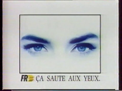 FR3 - 24 Janvier 1988 - Teasers, flash Infos (Dominique Poncet), pubs