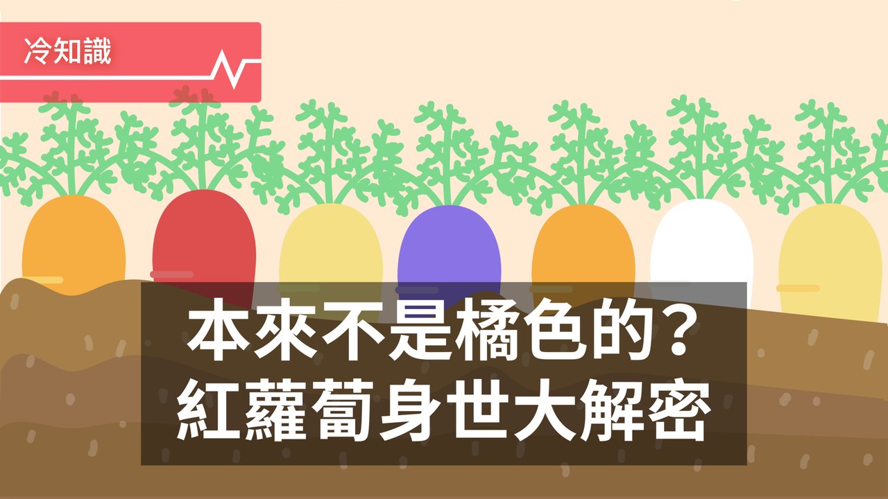 本來就不是橙色！胡蘿蔔身世大解謎
