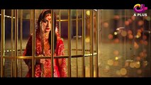 Pinjra---Episode-24--A-Plus--Drama--Yumna-Zaidi-Samina-Ahmed-Hassan-Niazi