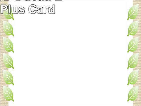 SanDisk 4GB Ducati Edition SD Plus Card