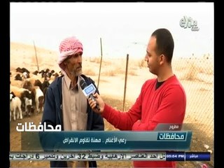 #أخبار‪_‬المحافظات | مطروح .. رعي الأغنام .. مهنة تقاوم الانقراض