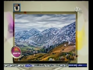 #هذا_الصباح | فقرة السوشيال ميديا | 17 نوفمبر 2014