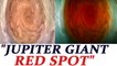 Jupiter red spots revealed by NASA JunoCam | Oneindia News