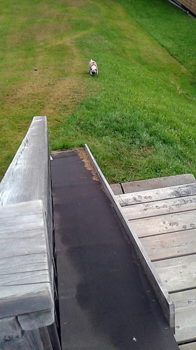 Ava Outdoors