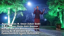 Mera Sohna Nabi Mera Pyara Nabi - Umair Zubair Qadri  Naat 2016 -  New Naat HD