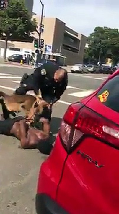 Des policiers blancs laissent un chien sauvagement mordre un noir americain