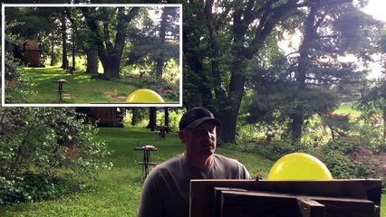 How Accurate is The Benjamin .357 Bulldog