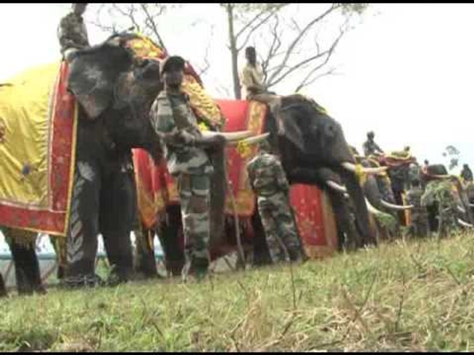 Dubare Elephant Day | ದುಬಾರೆ ಎಲಿಫೆಂಟ್ ಡೇ