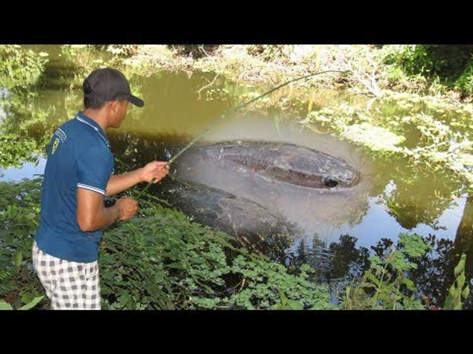 Khmer Fishing At Siem Reap Cambodia  Cambodia Traditional Fishing