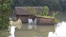 Floods in northeast India kill at least 44