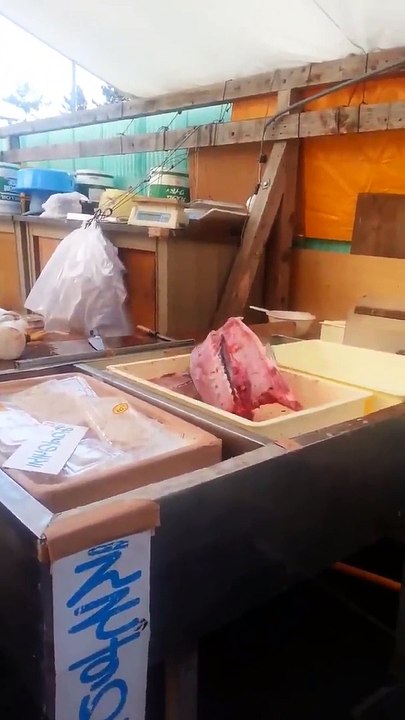 Quando vais ao mercado e procuras peixe fresquinho... demais!