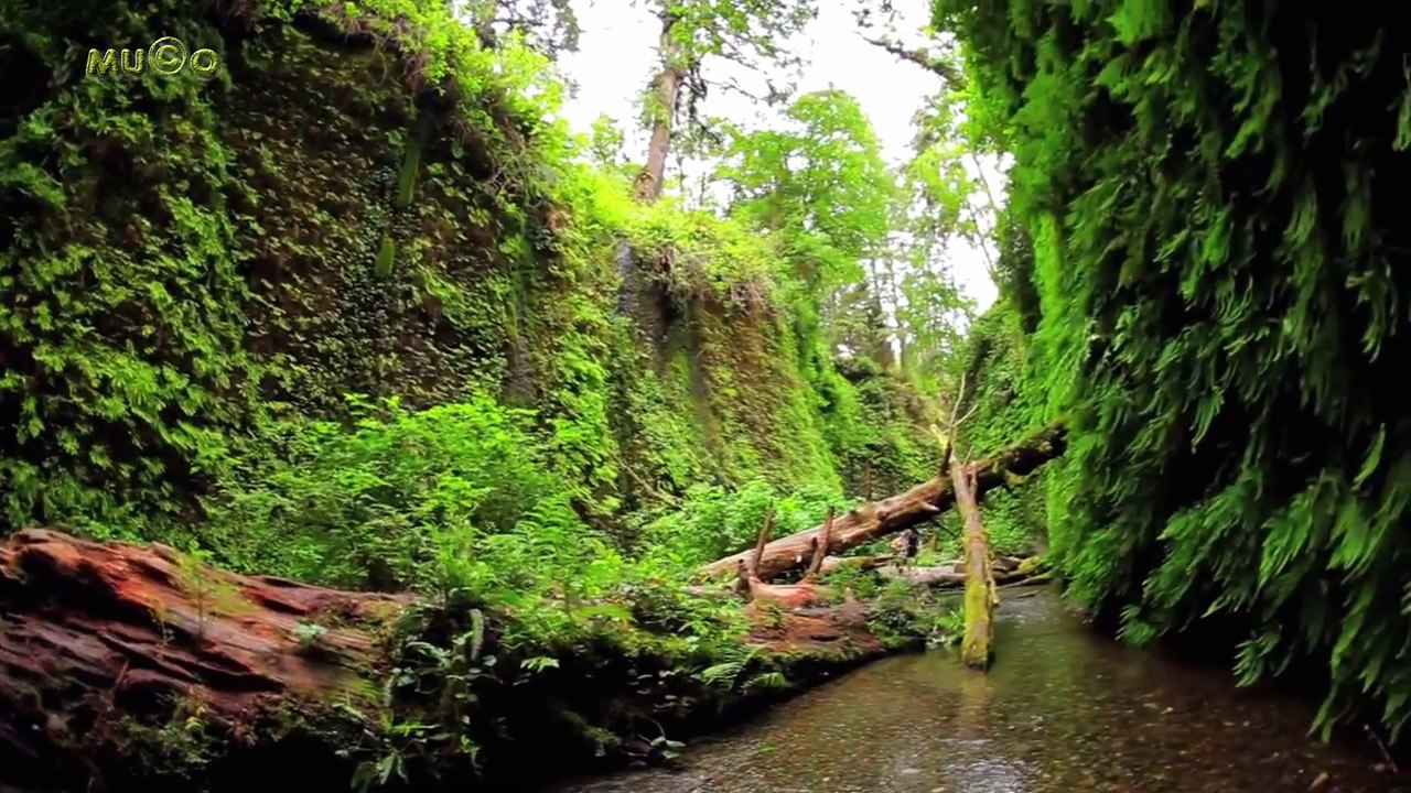 Madredeus - Haja O Que Houver [Lux Mix] (Etnik Müzik Seçkileri HQ) Mu©o