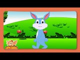 Sasa (Rabbit) - Animal Rhymes in Marathi