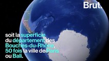 Un énorme iceberg vient de se détacher du continent Antarctique