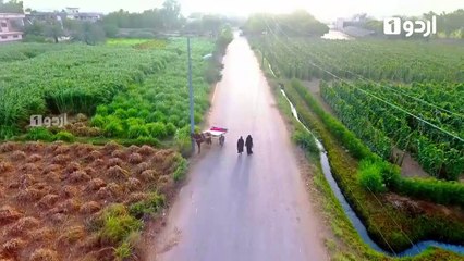 Gustakh Ishq Episode 1 Full HD | Watch Pakistani Dramas