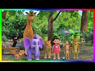 Appu And Friends Ramp It Up (4K)