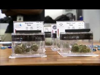 Mungesa në treg, Nevada kërkon hashash - Top Channel Albania - News - Lajme